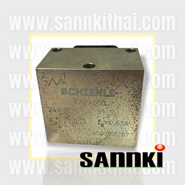 Solenoid 24V-Schienle-7709050-256078006